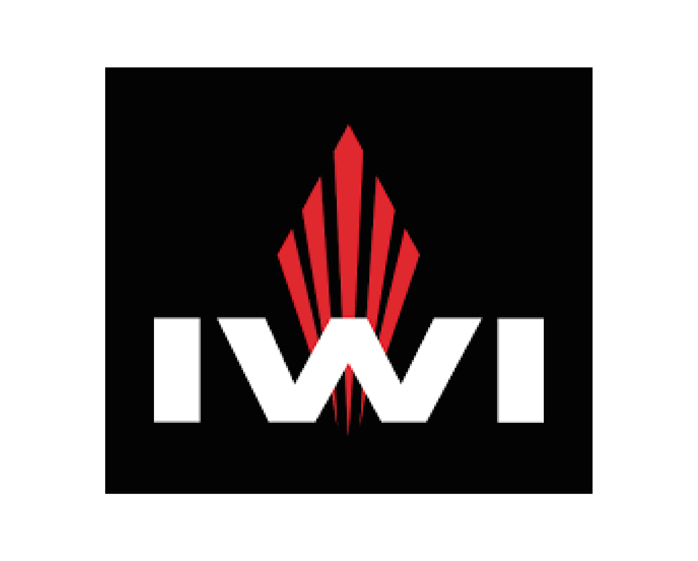 //centre-tir.ch/wp-content/uploads/2017/10/logo-iwi.png
